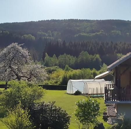Ferienwohnung Les Jumeaux Granges-sur-Vologne Exterior foto