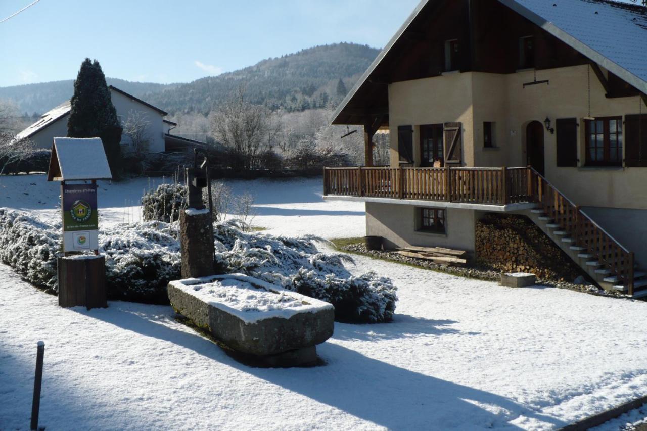 Ferienwohnung Les Jumeaux Granges-sur-Vologne Exterior foto