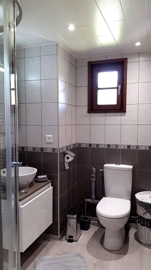 Ferienwohnung Les Jumeaux Granges-sur-Vologne Exterior foto