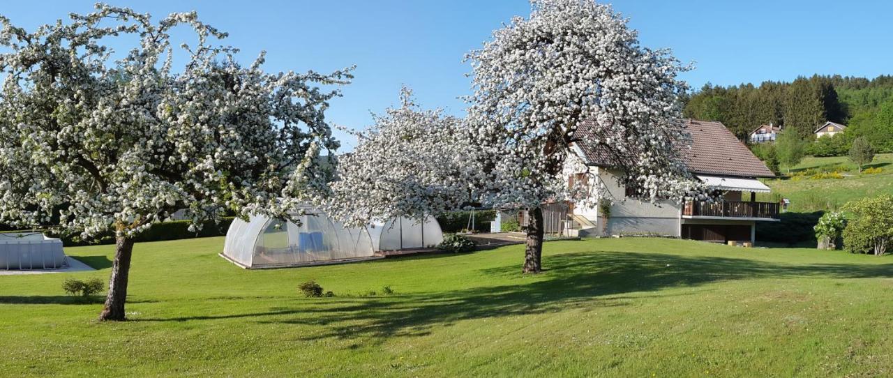 Ferienwohnung Les Jumeaux Granges-sur-Vologne Exterior foto