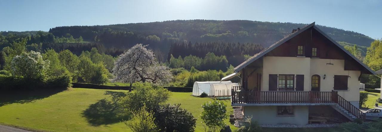 Ferienwohnung Les Jumeaux Granges-sur-Vologne Exterior foto